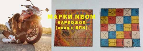 шишки Нея