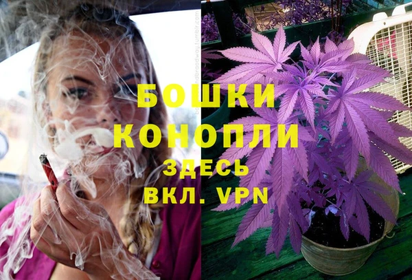 шишки Нея