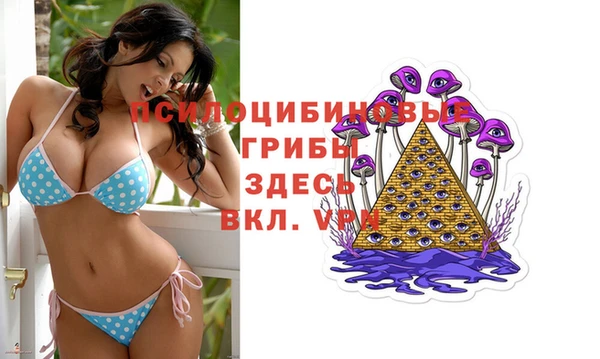 шишки Навашино