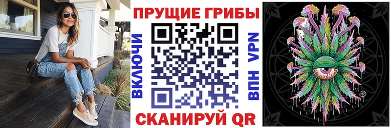 omg рабочий сайт  где продают наркотики  Надым  Псилоцибиновые грибы GOLDEN TEACHER 